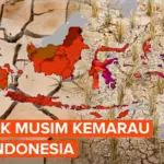 BMKG Peringatkan Musim Kemarau 2026 Lebih Kering, Lebih Awal, dan Lebih Panjang di Jawa Barat