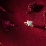 Detik-detik Aulion Geter saat Melamar Pila: Cinta, Cincin, dan Nuansa Merah yang Menggugah