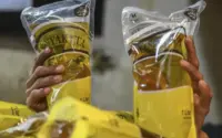Kenaikan Harga Minyang Goreng Dipicu Lonjakan Harga Kemasan Plastik: Dampak Global hingga Domestik