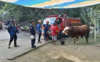 Detikcom Hari Ini: Kobra Jawa di Prambanan, Sapi Kurban Misterius, Eks Polwan Meresahkan, Jokowi Ikuti Tren Viral, Harga Ayam Hidup Jatuh Tajam