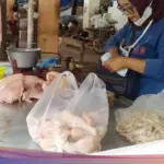 Harga Daging Ayam Meroket, Peluang Bisnis Organik, dan Praktik Aman di Dapur: Semua yang Perlu Anda Tahu