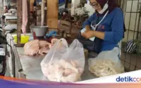 Harga Daging Ayam Meroket, Peluang Bisnis Organik, dan Praktik Aman di Dapur: Semua yang Perlu Anda Tahu