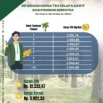Harga TBS Sawit Terpuruk, Pemerintah Perketat Pengawasan dan Tetapkan Harga Minimum di Berbagai Provinsi