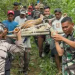 Krisis Satwa Liar, Tragedi Pendaki, dan Tantangan Guru Honorer: Drama Terbaru di Jawa Barat