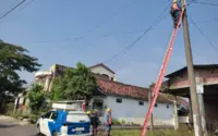 Mati Lampu Massal di Sumatra dan Jawa Timur: Dampak Luas hingga Kehilangan Ikan Koi di Pekanbaru