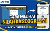 Pengumuman Hasil TKA SD-SMP 2026: Cara Cek, Unduh Sertifikat, dan Makna Nilai bagi Siswa
