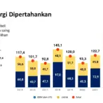 Strategi Pemerintah: Pembatasan Pertalite, Transformasi Subsidi LPG, dan Peran DTKS dalam Penghematan Energi Nasional