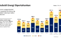 Strategi Pemerintah: Pembatasan Pertalite, Transformasi Subsidi LPG, dan Peran DTKS dalam Penghematan Energi Nasional