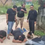 Tragedi dan Penegakan Hukum di Siak: Dari Narkoba, Pembunuhan Anak, hingga Penebangan Liar