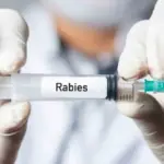CMS Berinovasi: Dari Obat Rabies Bispektif di China hingga Kontroversi AI Medicare dan Kepemimpinan Pendidikan di Amerika