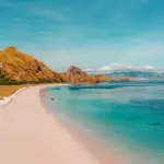 Fenomena Ajaib Thailand: Dari Penulis Film Internasional hingga Pantai Merah Muda dan Larangan Berenang karena Ubur-Ubur Mematikan