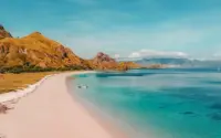 Fenomena Ajaib Thailand: Dari Penulis Film Internasional hingga Pantai Merah Muda dan Larangan Berenang karena Ubur-Ubur Mematikan