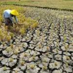 Musim Kemarau 2026: Ancaman Kekeringan, Kebakaran, dan DBD, Solusi Pemerintah dari Indramayu hingga Purwakarta
