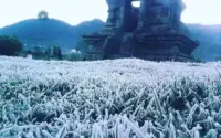 Dieng Bekukan Suhu Minus 6°C: Fenomena Embun Upas Mengguncang Wisata dan Pertanian