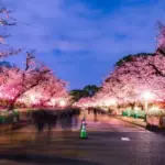 Jepang Terbuka: Dari Kemenangan Badminton di Jepang Open hingga Festival Sakura Matsuri dan Langkah Militer ke Kamboja