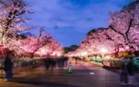 Jepang Terbuka: Dari Kemenangan Badminton di Jepang Open hingga Festival Sakura Matsuri dan Langkah Militer ke Kamboja