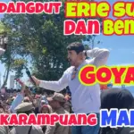 Mamuju Bergema: Dari Bintang Dangdut hingga Kelahiran Empat Bayi dan Upaya Komunitas Menghadapi Tantangan