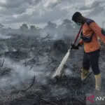 Mertua, Harmoni Rumah Tangga dan Kontroversi Kebakaran: Dari Nasihat Islam hingga Kasus Pembakaran di PALI