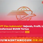 Transformasi Danantara: Laba BUMN Meroket, PT Pos Indonesia Dibersihkan dari Dugaan Rekayasa Keuangan