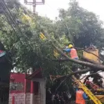 Video Mengungkap Kejadian Listrik, Kegembiraan Sepakbola, dan Kontroversi di Balik Panggung: Dari Pohon Tumbang di Miami hingga Benteng Hitam di MSG