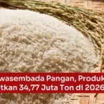 Produksi Beras Meningkat, Bantuan Pangan Cair Mulai Agustus 2026